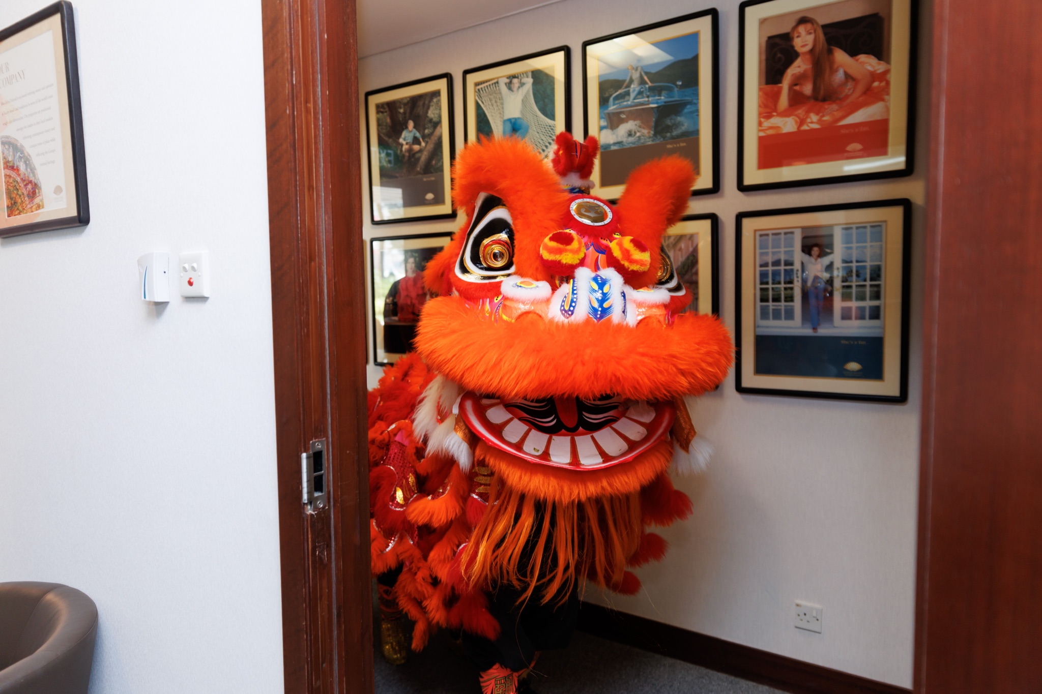 MO CNY Lion Dance photo