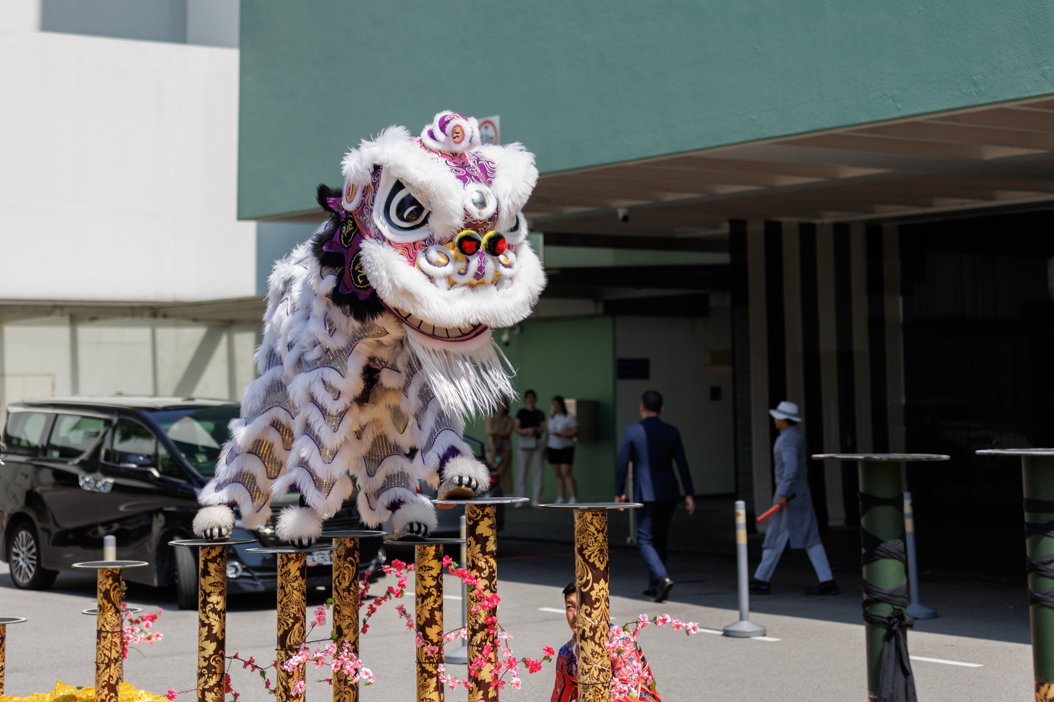 MO CNY Lion Dance photo
