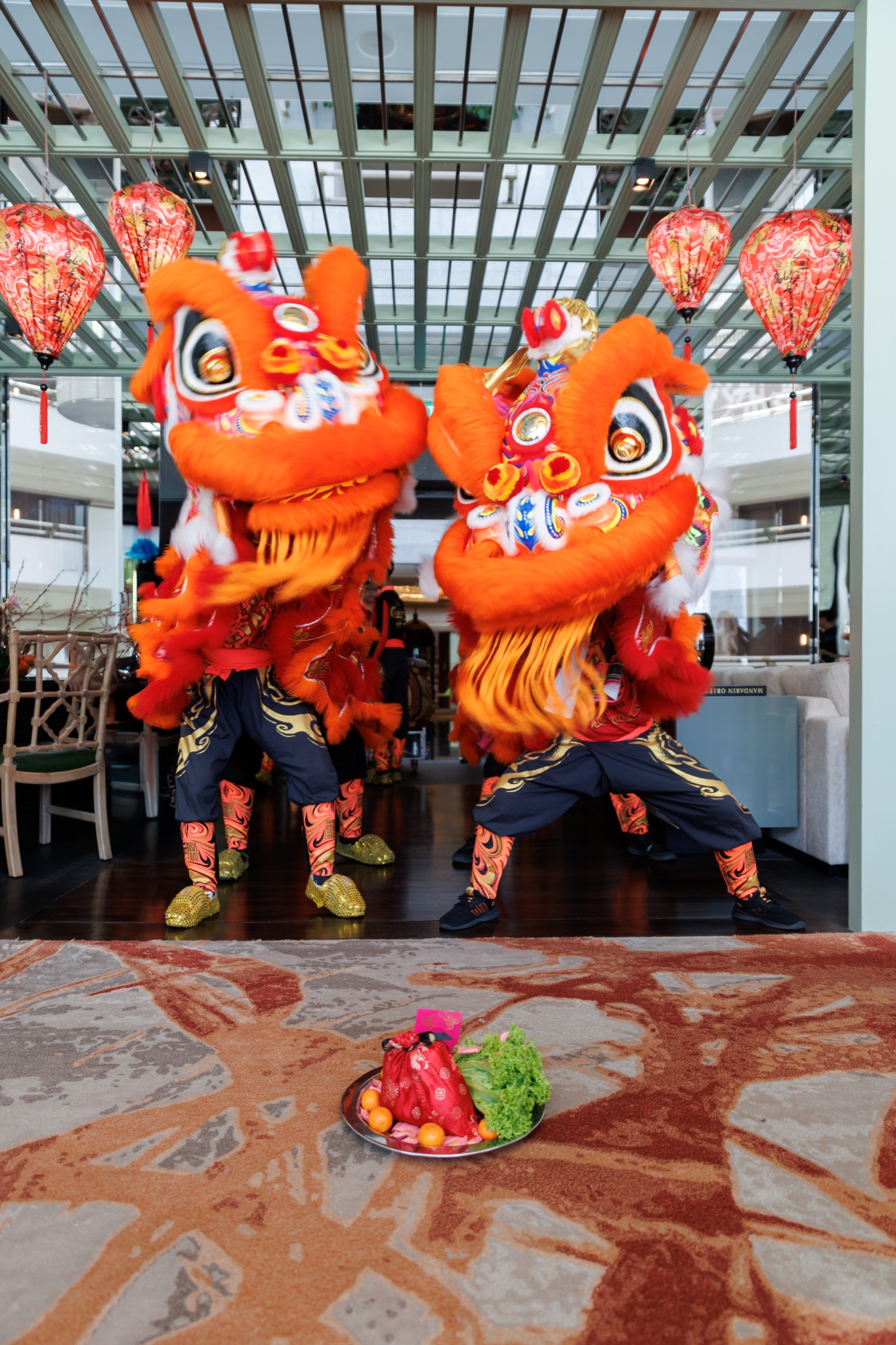 MO CNY Lion Dance photo