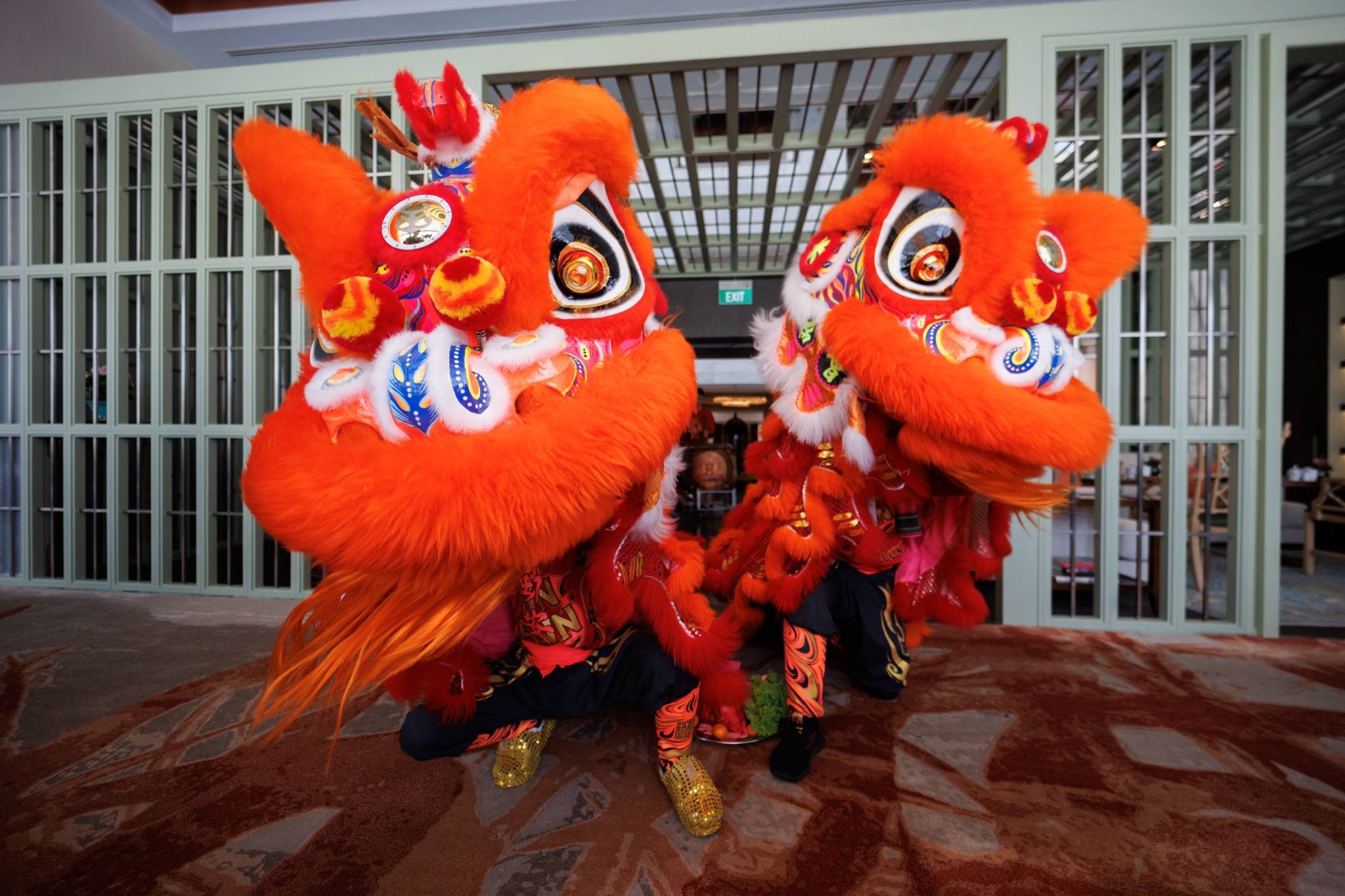 MO CNY Lion Dance photo