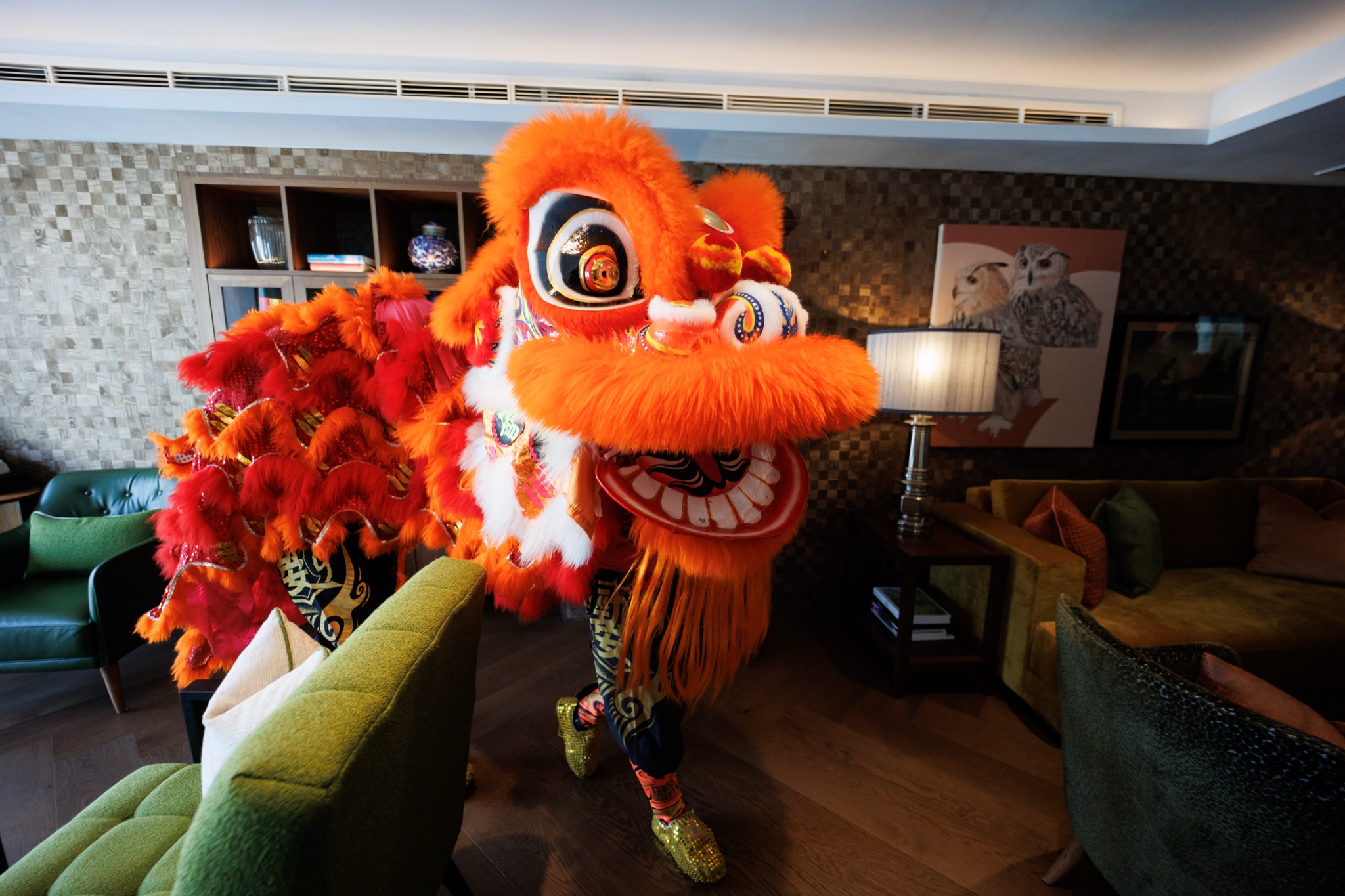 MO CNY Lion Dance photo