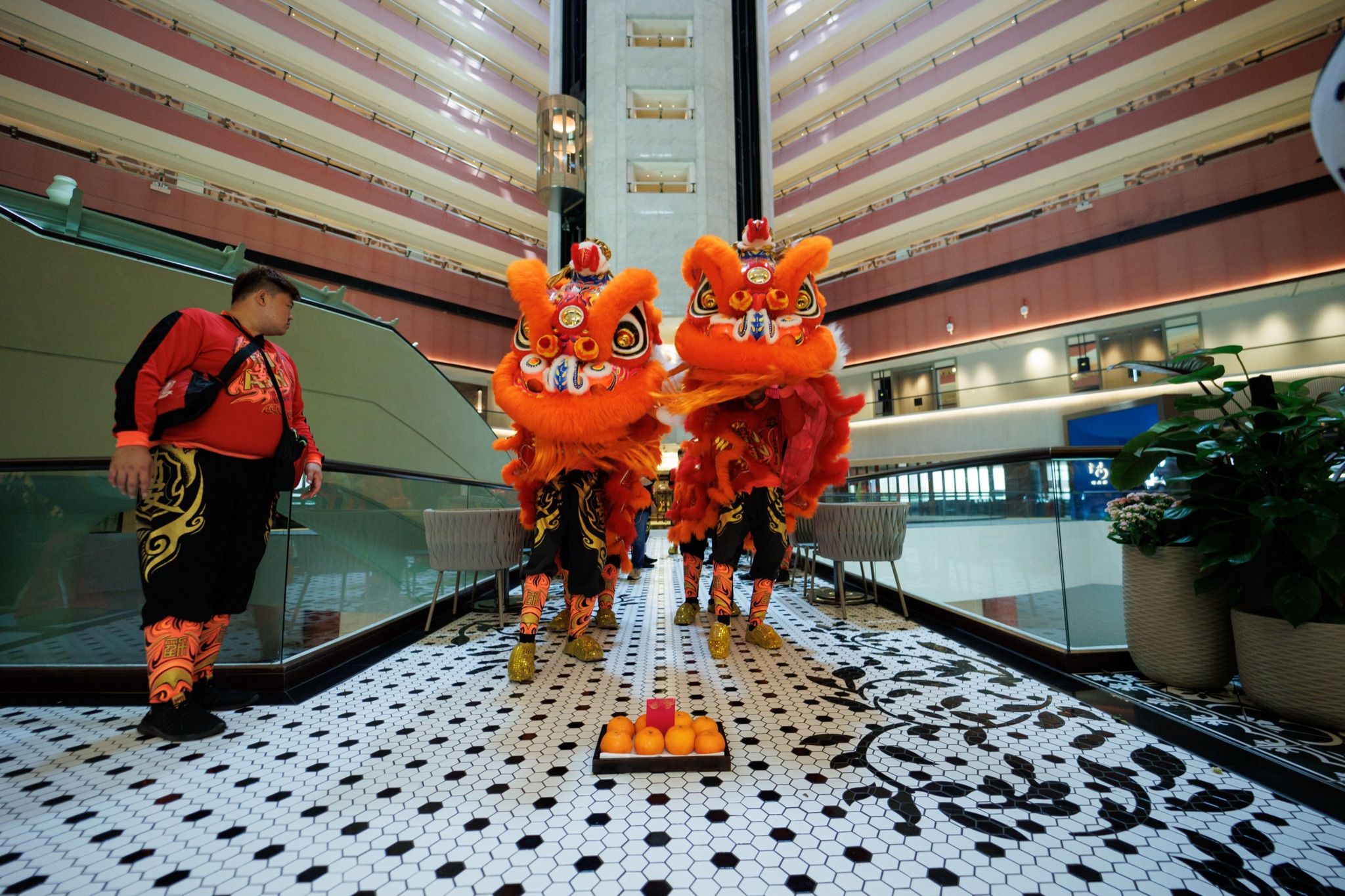 MO CNY Lion Dance photo