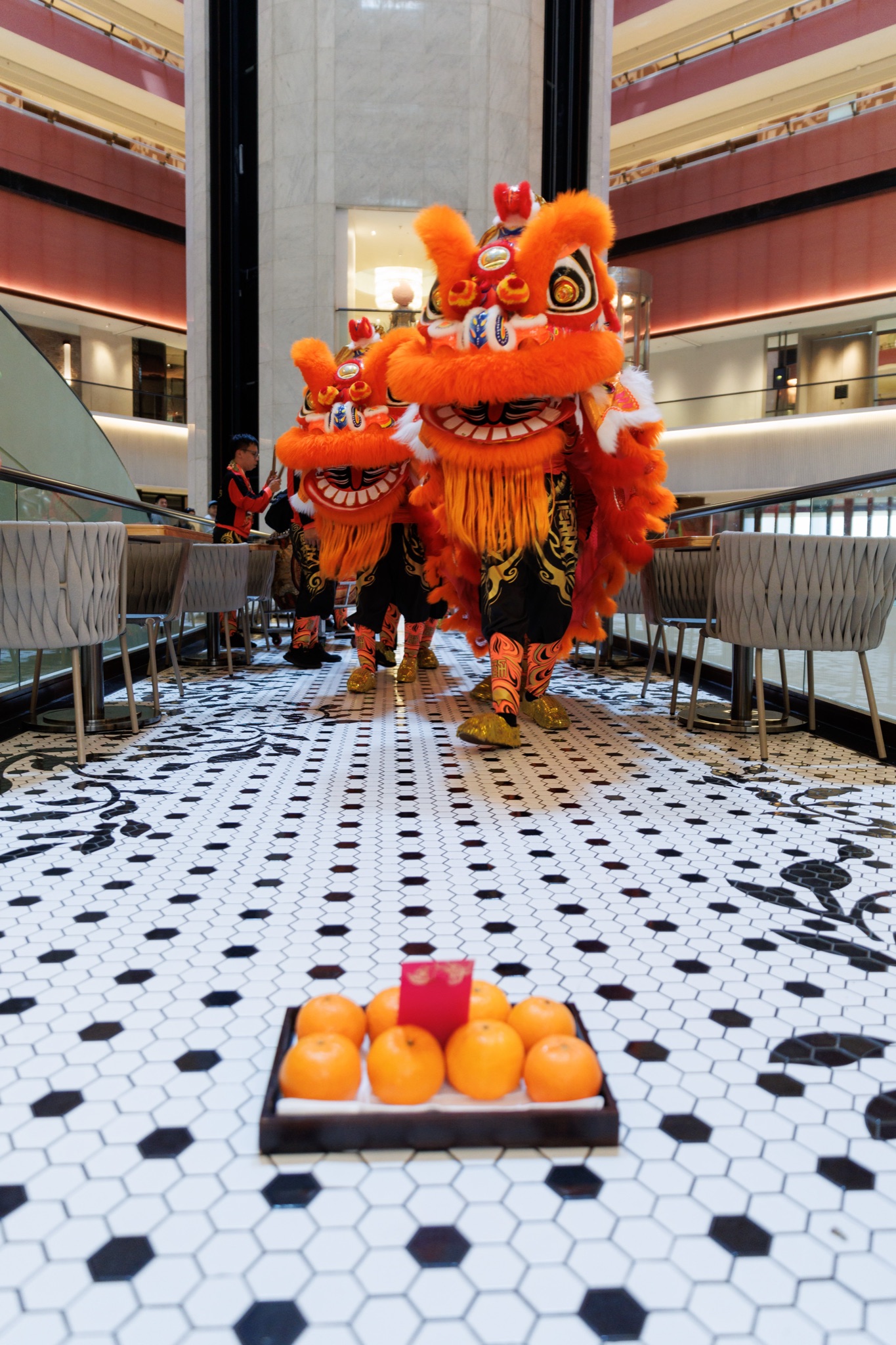 MO CNY Lion Dance photo