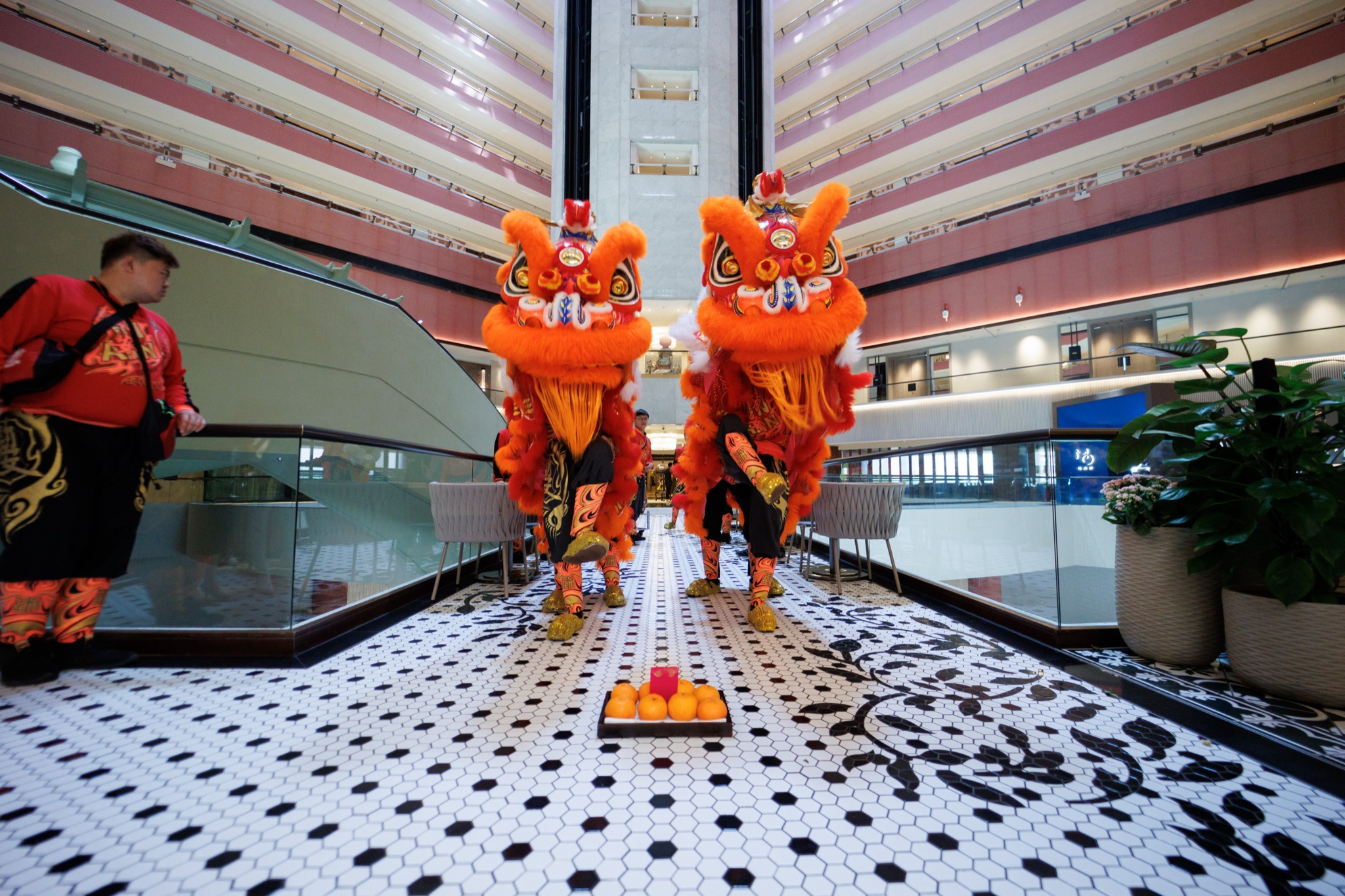 MO CNY Lion Dance photo
