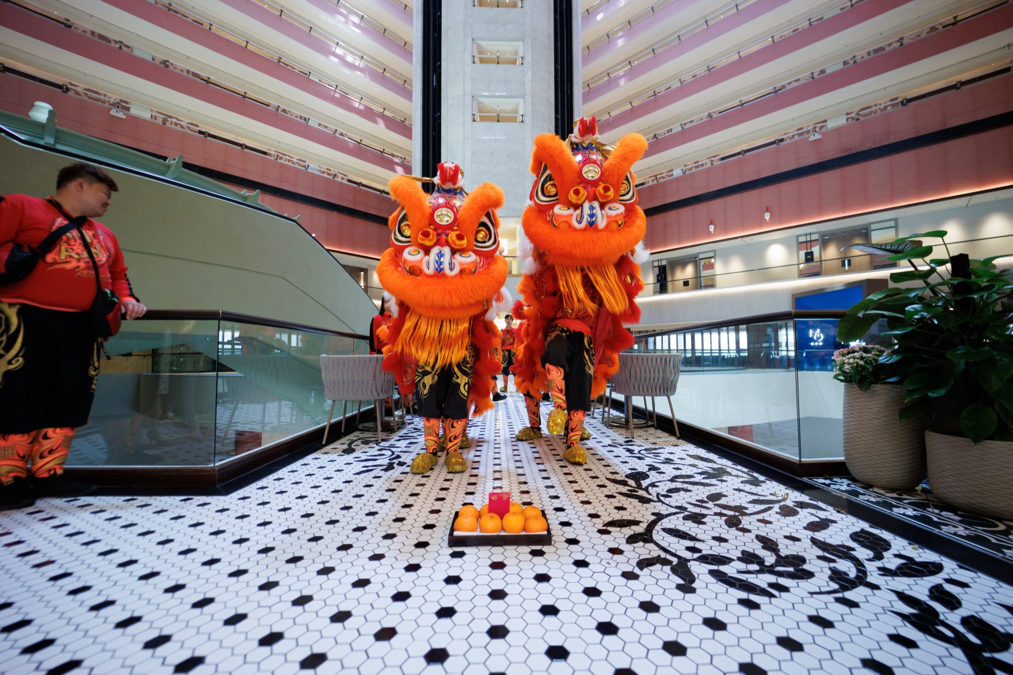 MO CNY Lion Dance photo