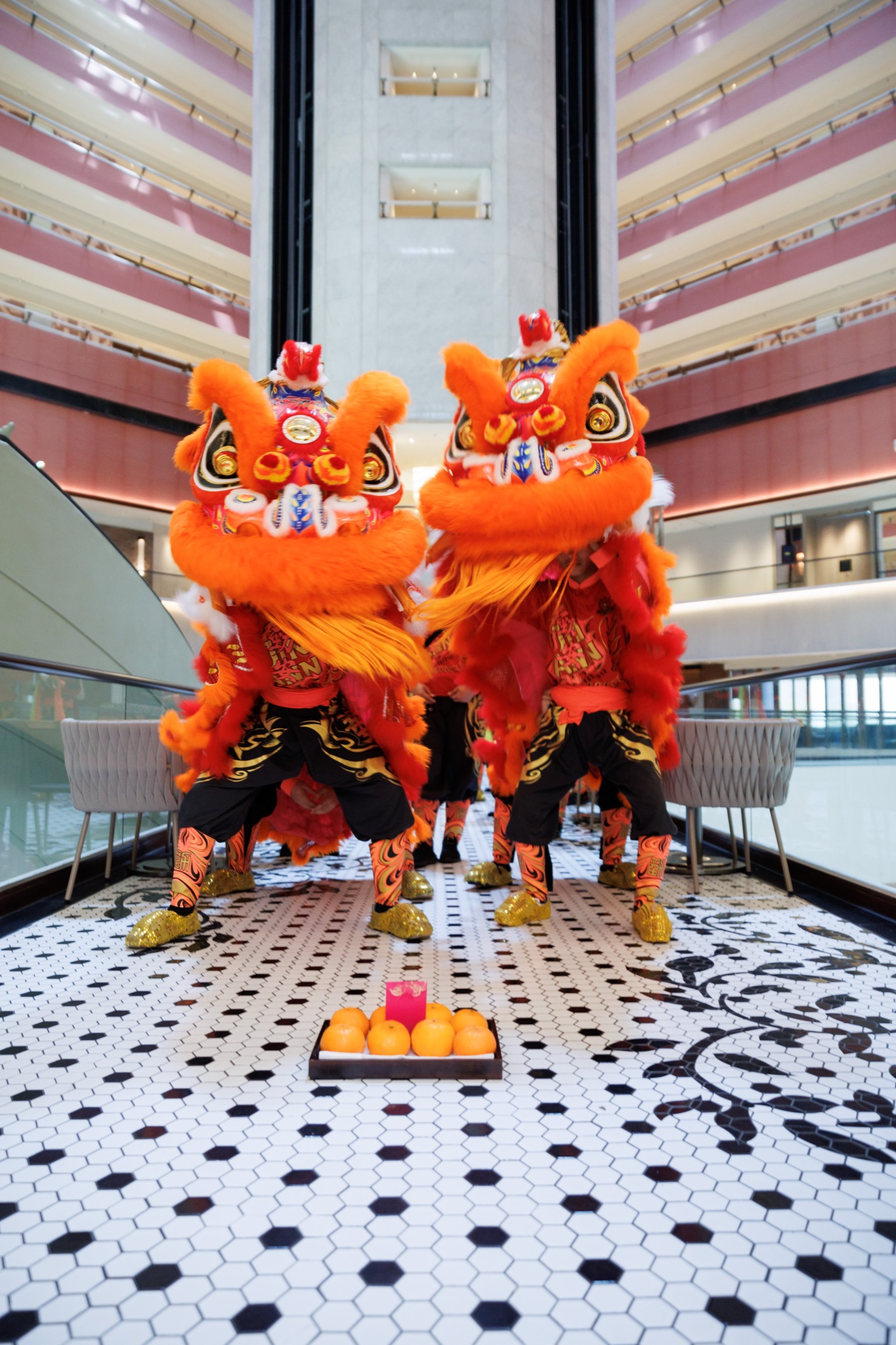 MO CNY Lion Dance photo