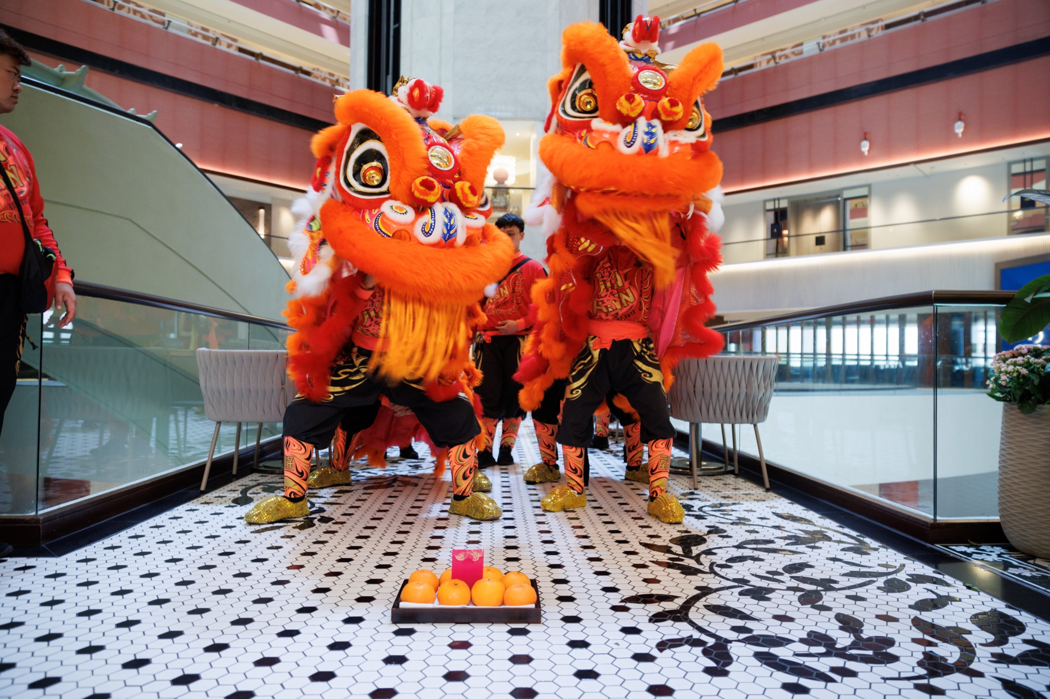 MO CNY Lion Dance photo