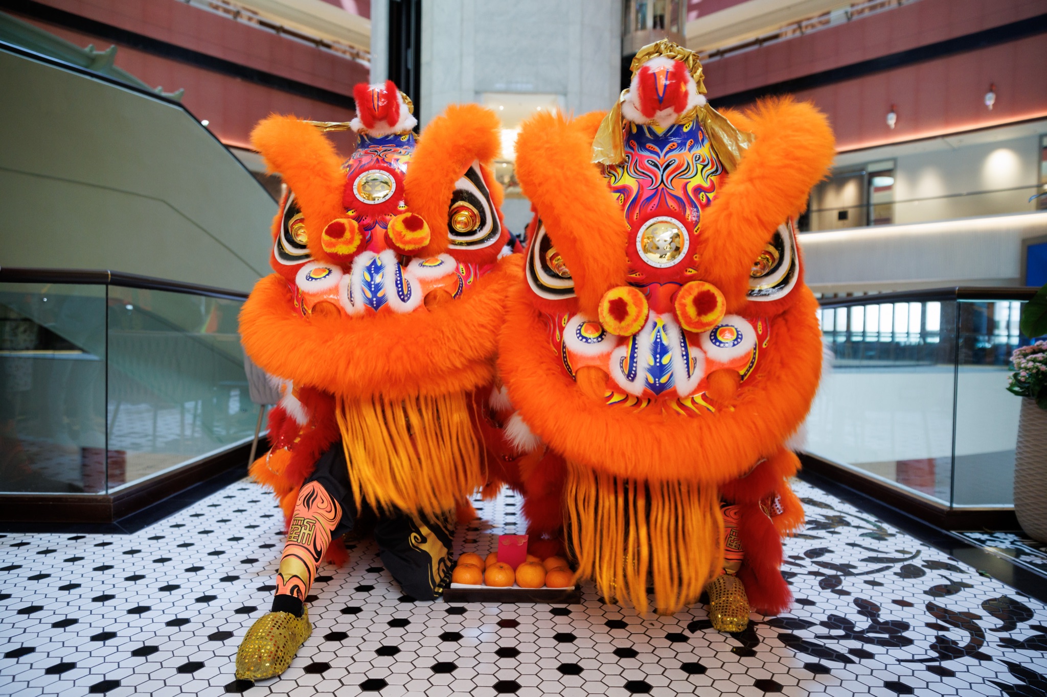 MO CNY Lion Dance photo