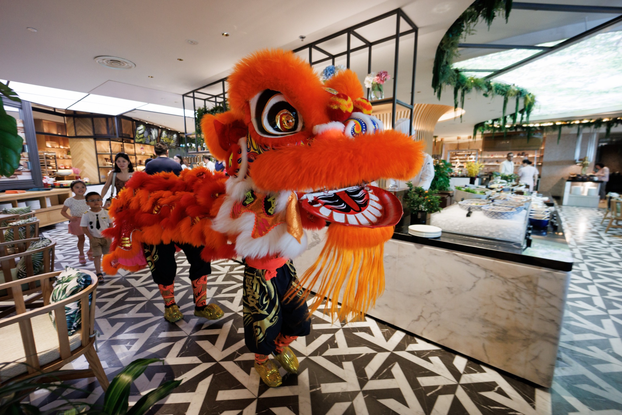 MO CNY Lion Dance photo