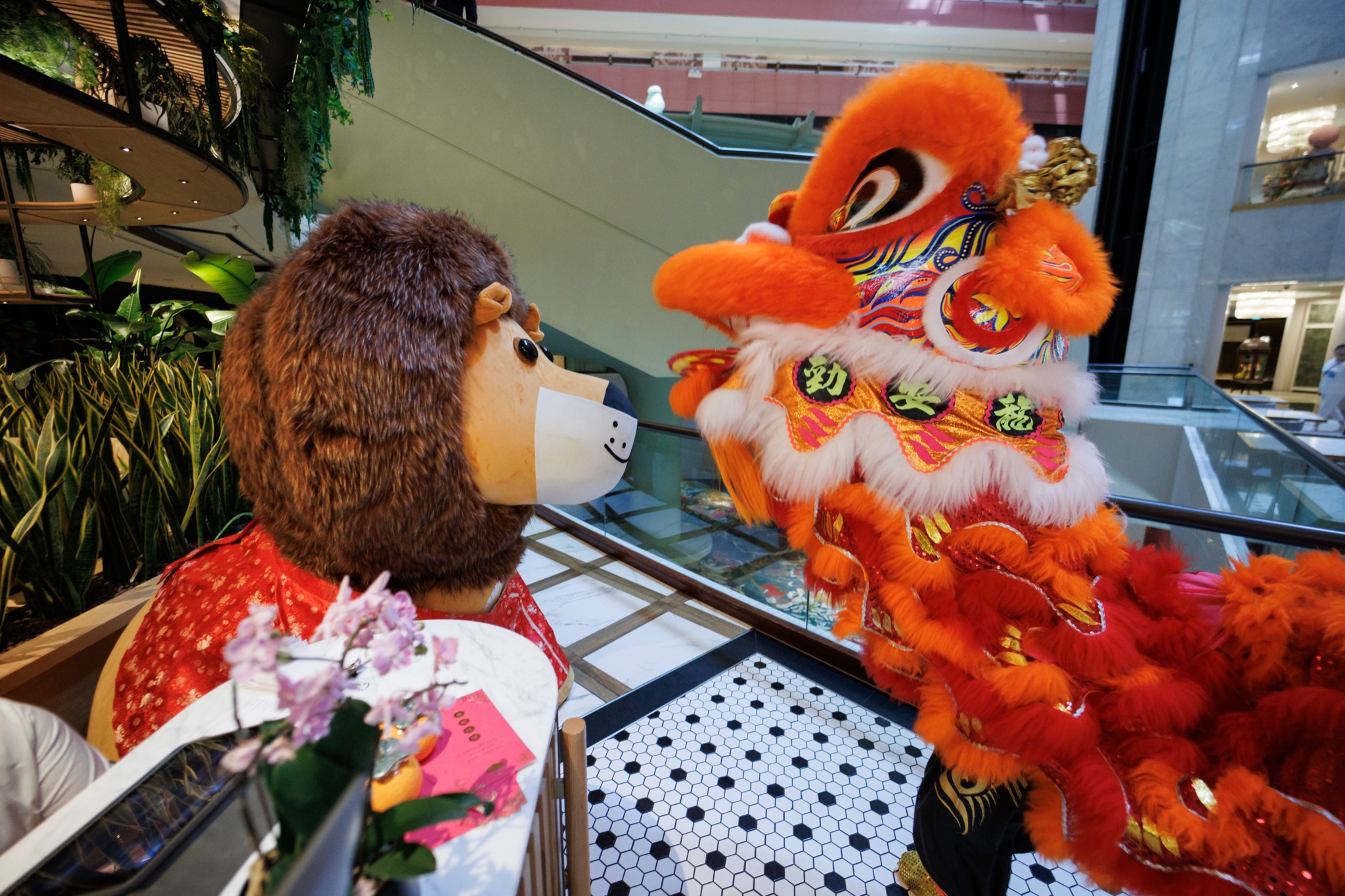 MO CNY Lion Dance photo