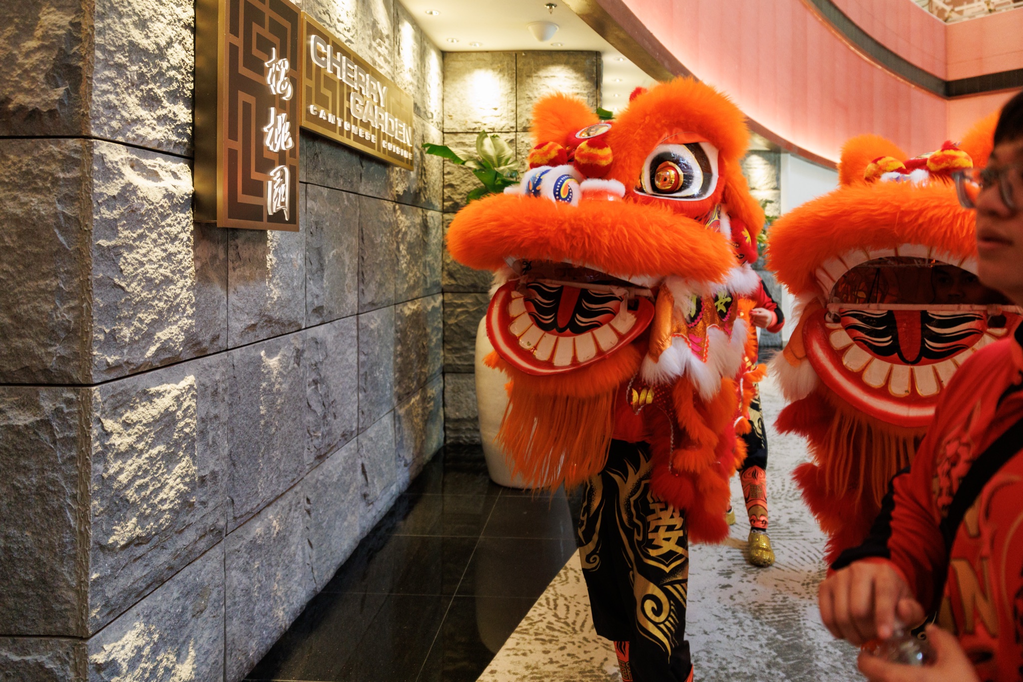 MO CNY Lion Dance photo