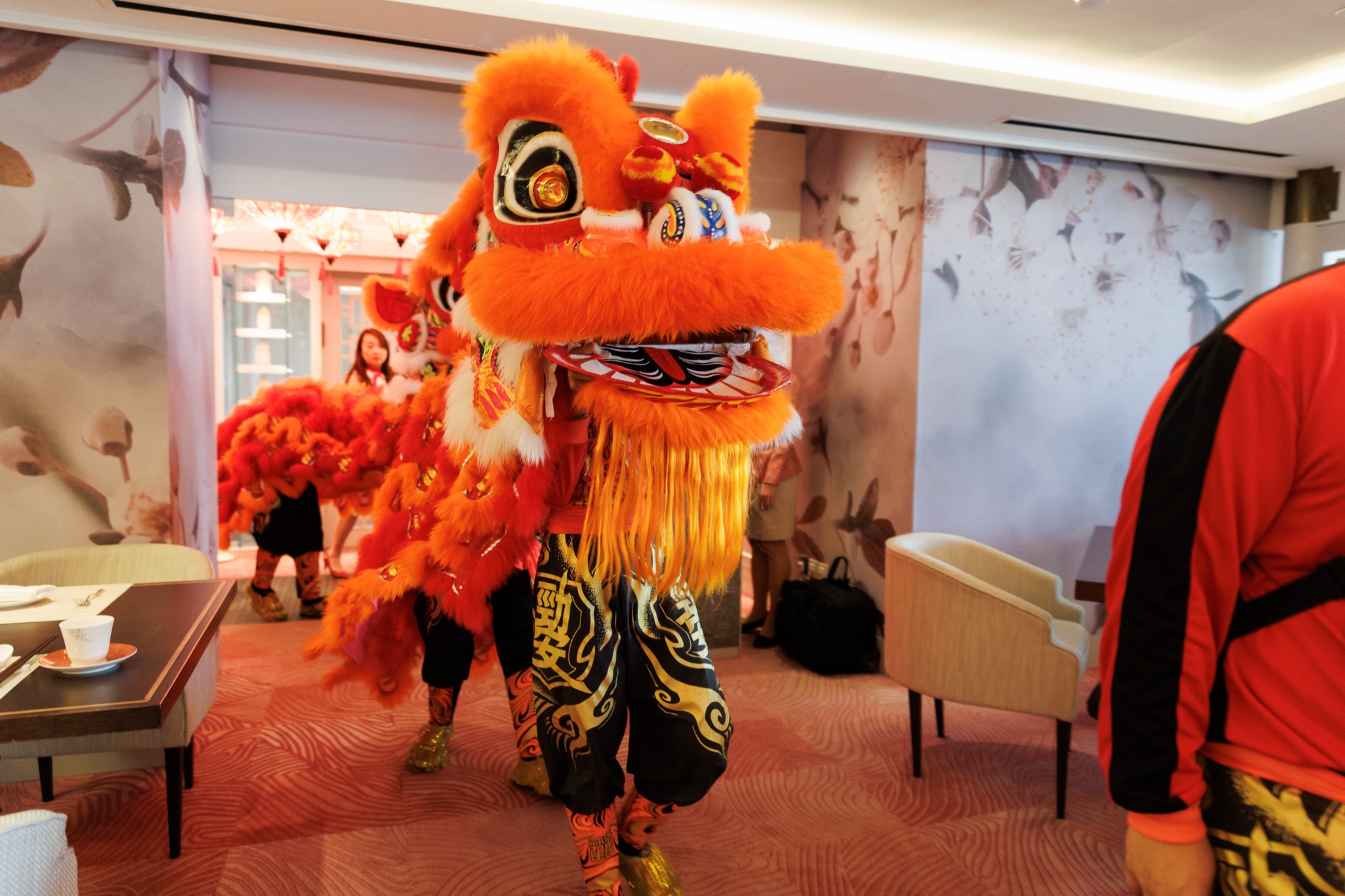 MO CNY Lion Dance photo
