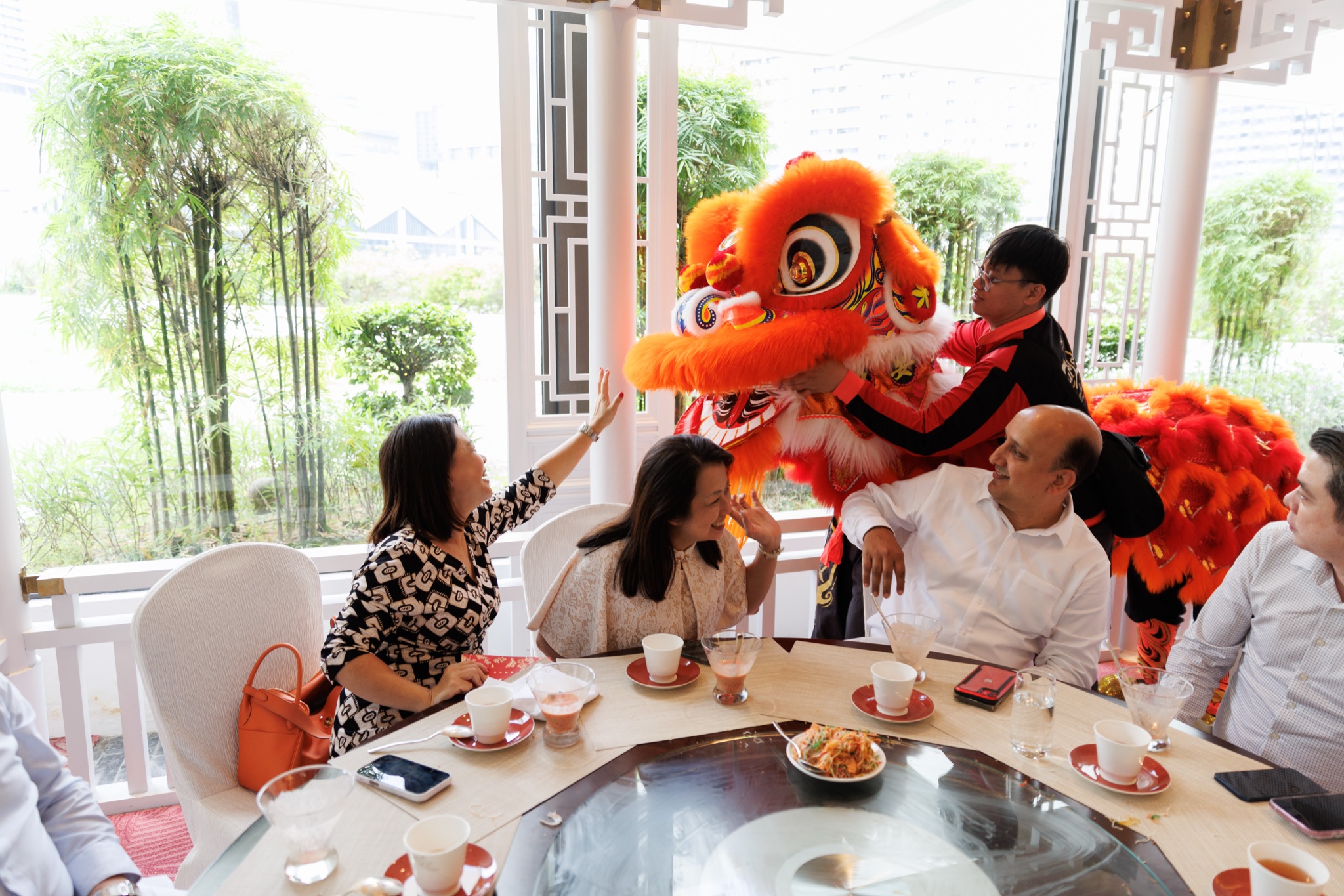MO CNY Lion Dance photo