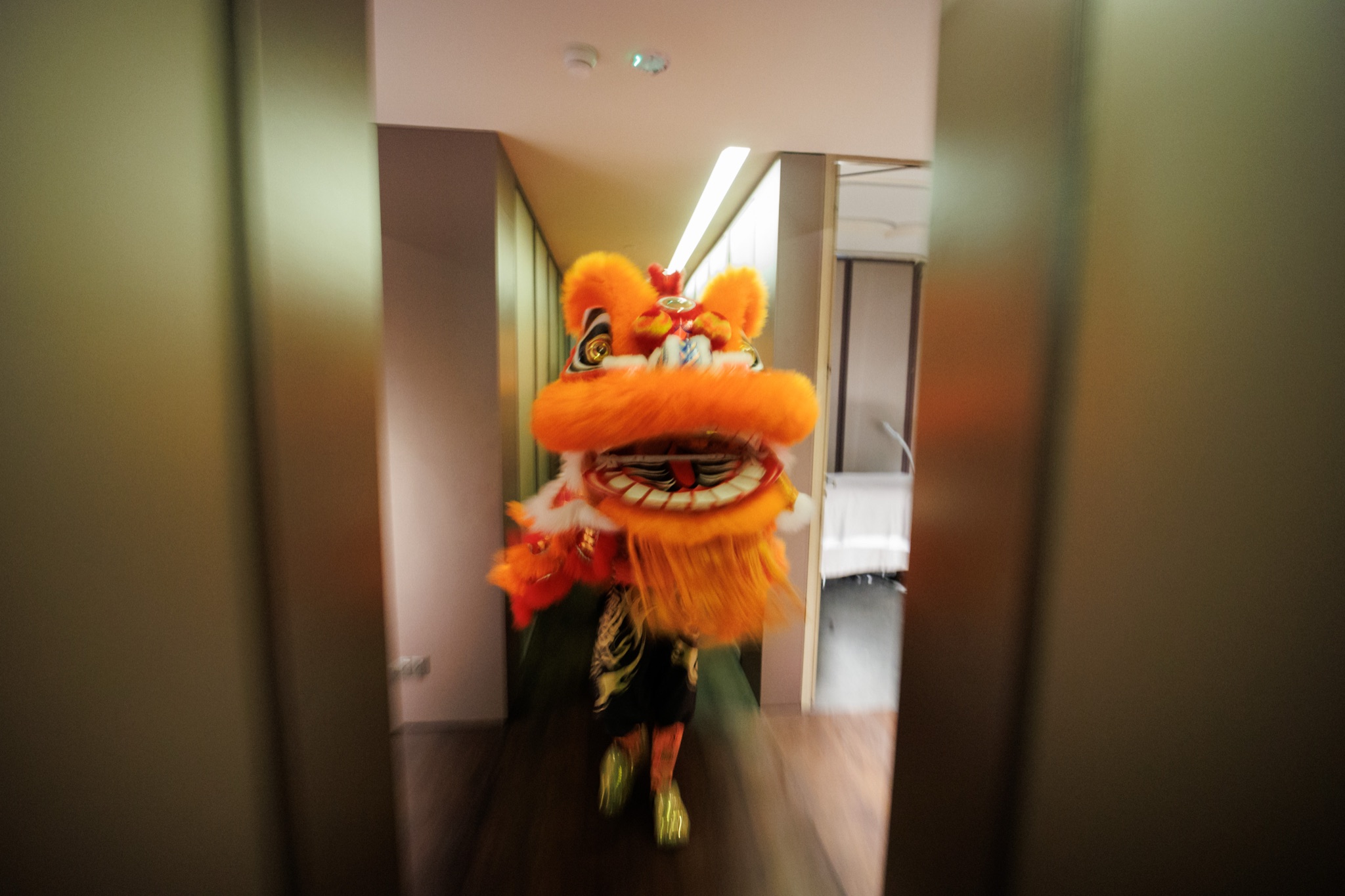 MO CNY Lion Dance photo