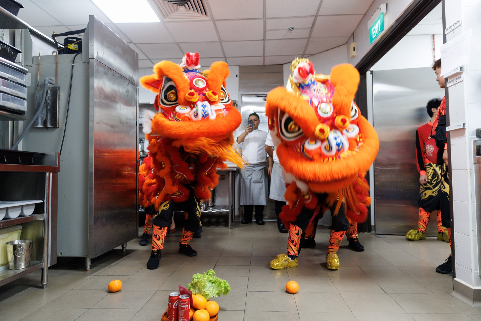 MO CNY Lion Dance photo