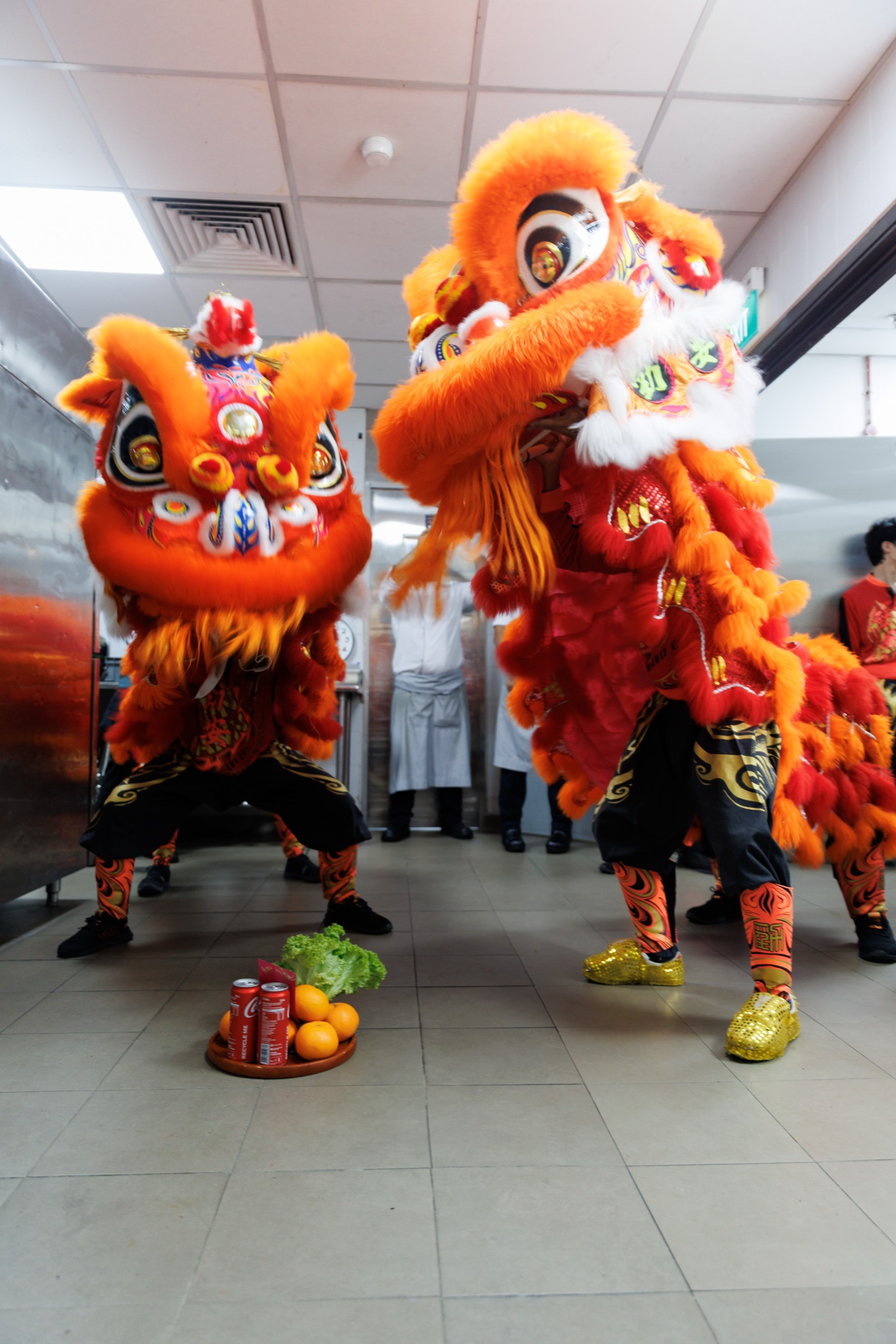 MO CNY Lion Dance photo
