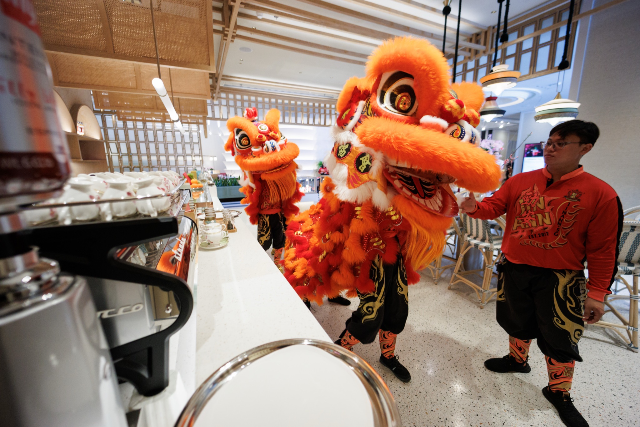 MO CNY Lion Dance photo