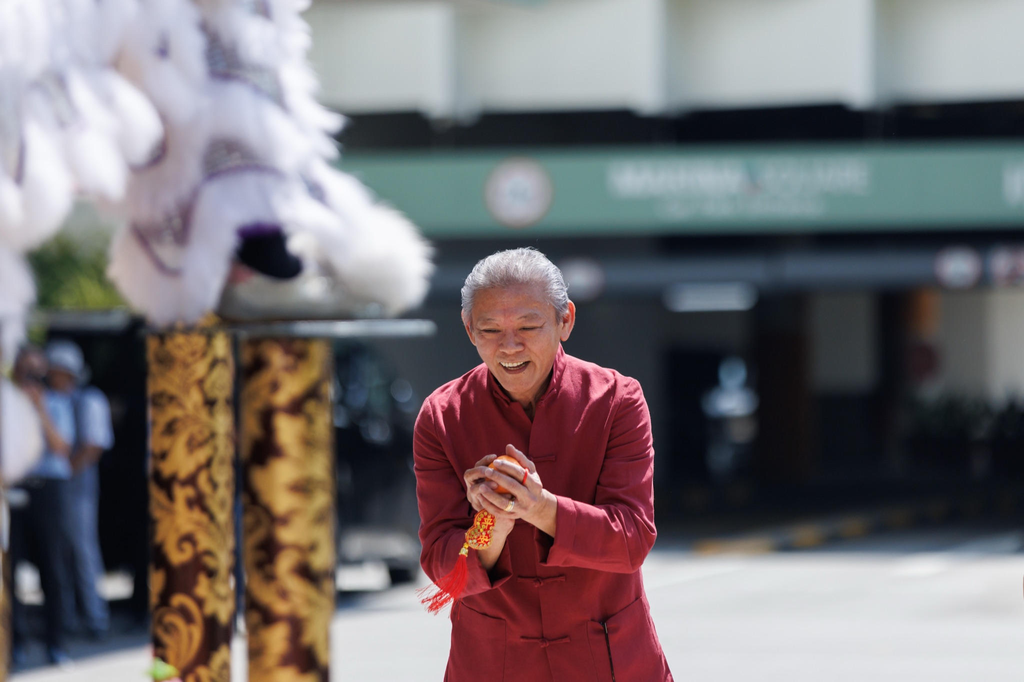 MO CNY Lion Dance photo