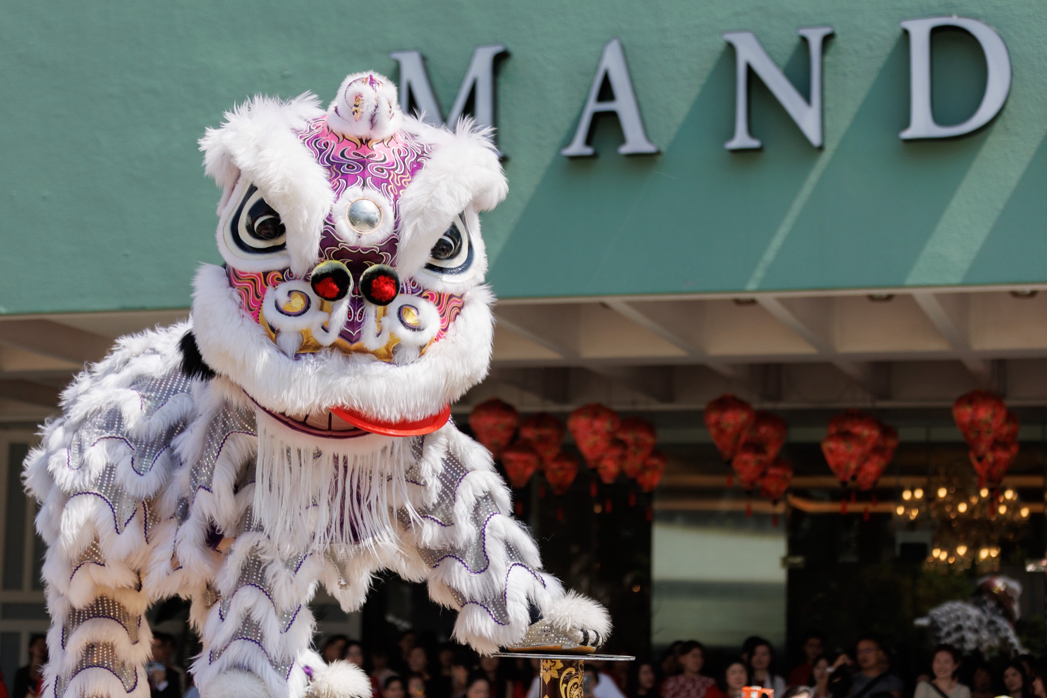 MO CNY Lion Dance photo