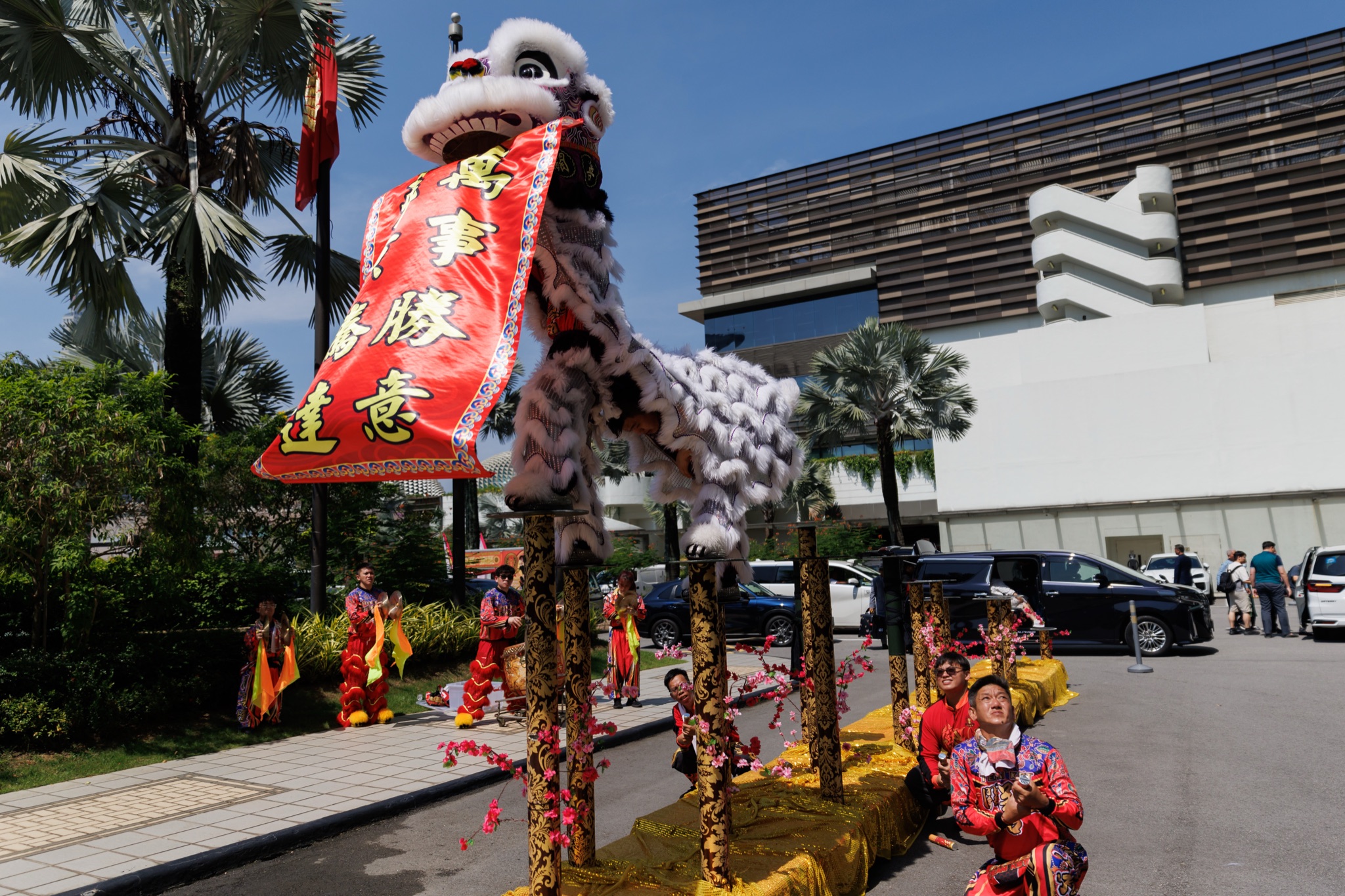 MO CNY Lion Dance photo