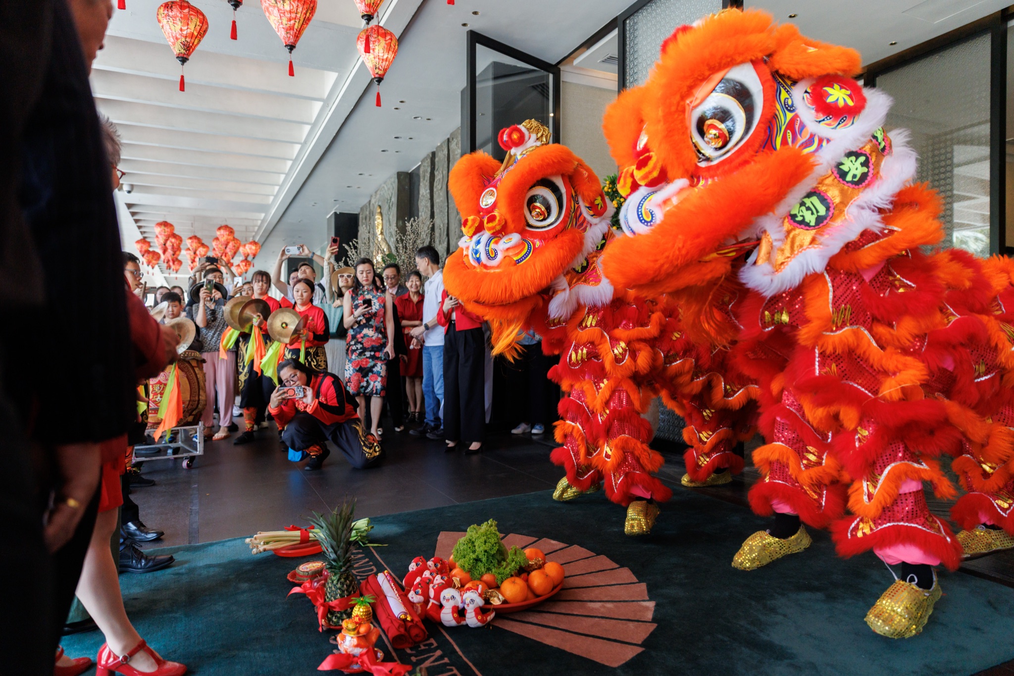MO CNY Lion Dance photo