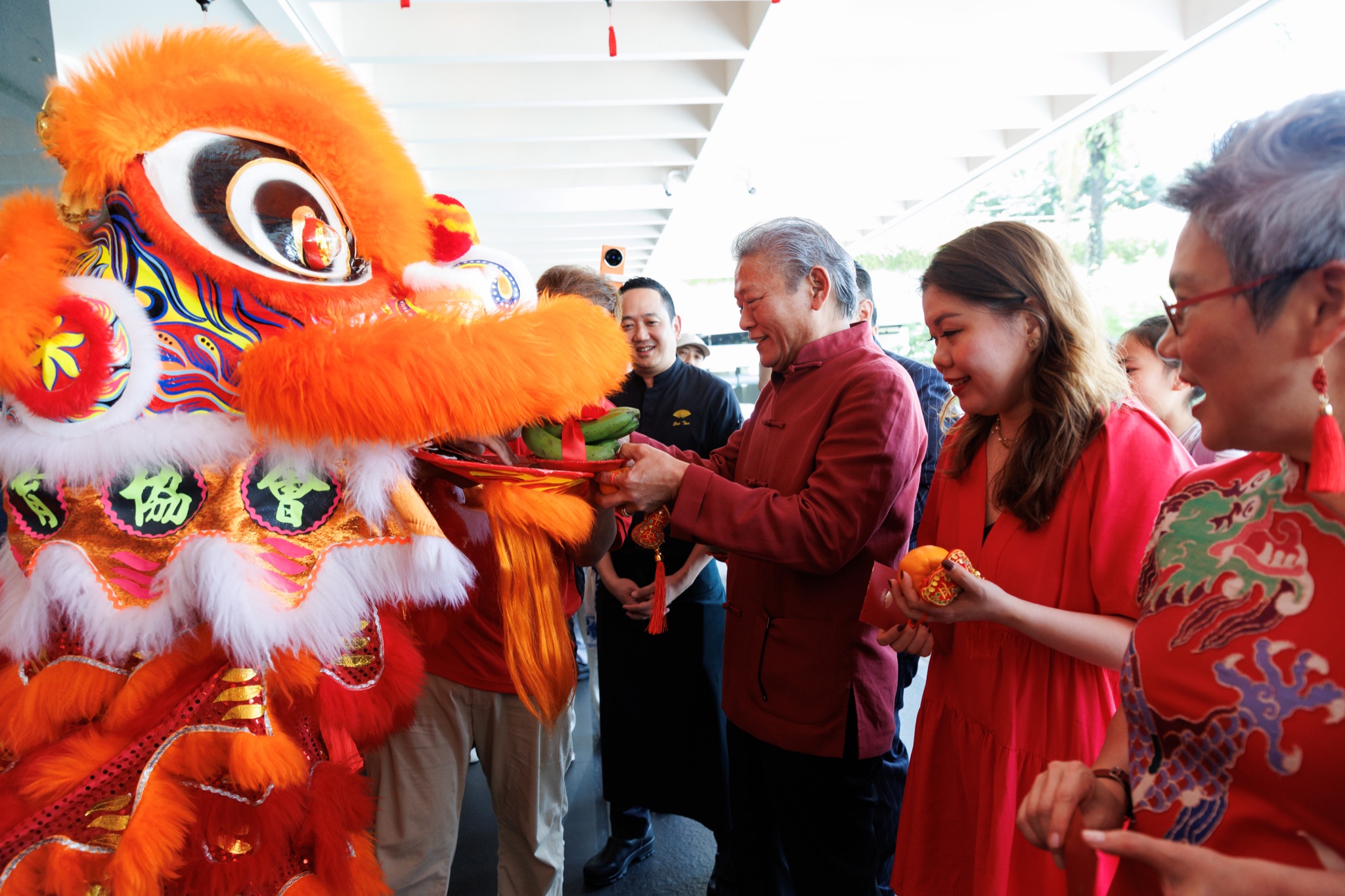 MO CNY Lion Dance photo