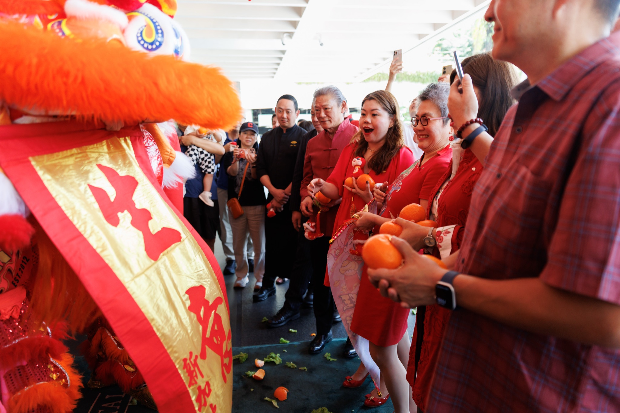 MO CNY Lion Dance photo