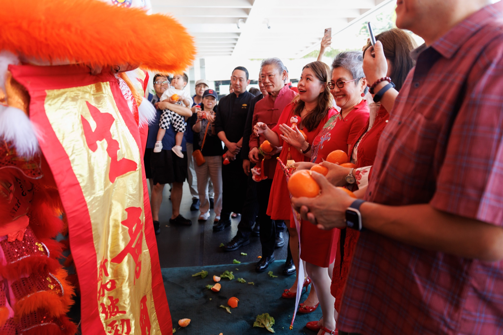 MO CNY Lion Dance photo
