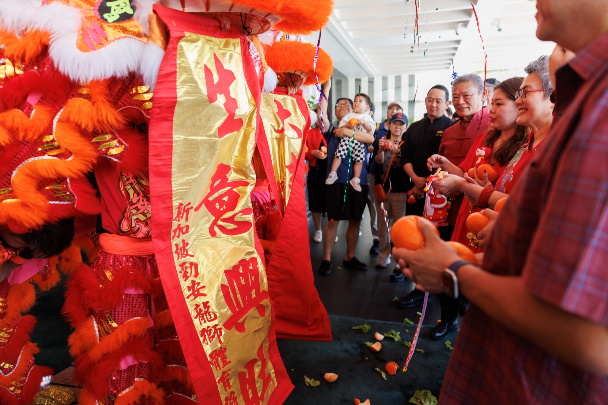 MO CNY Lion Dance photo