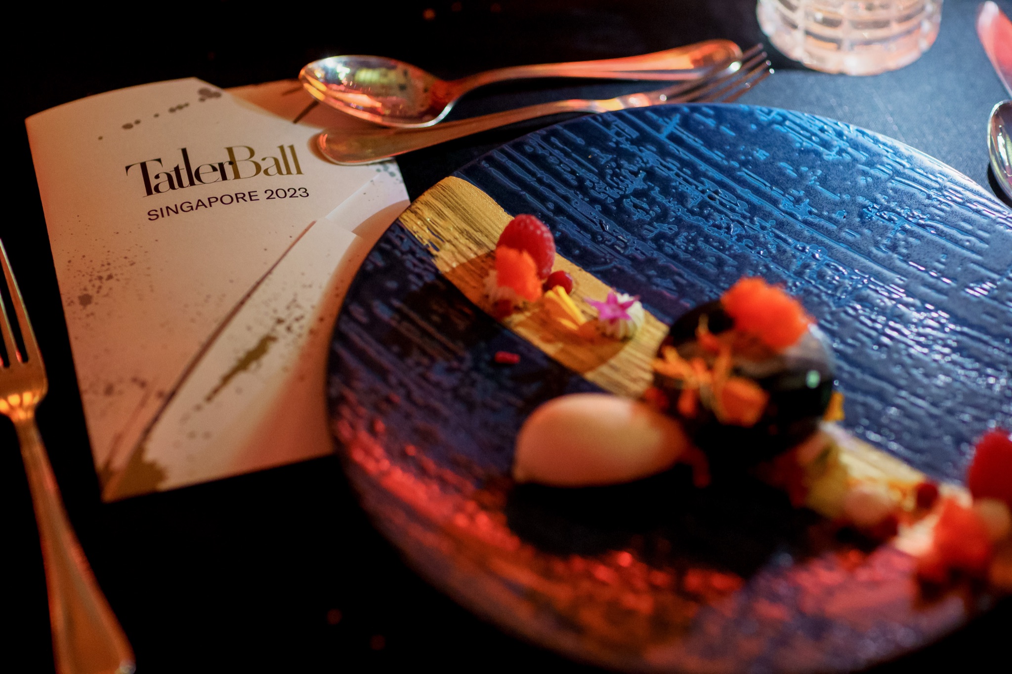 Tatler Ball photo
