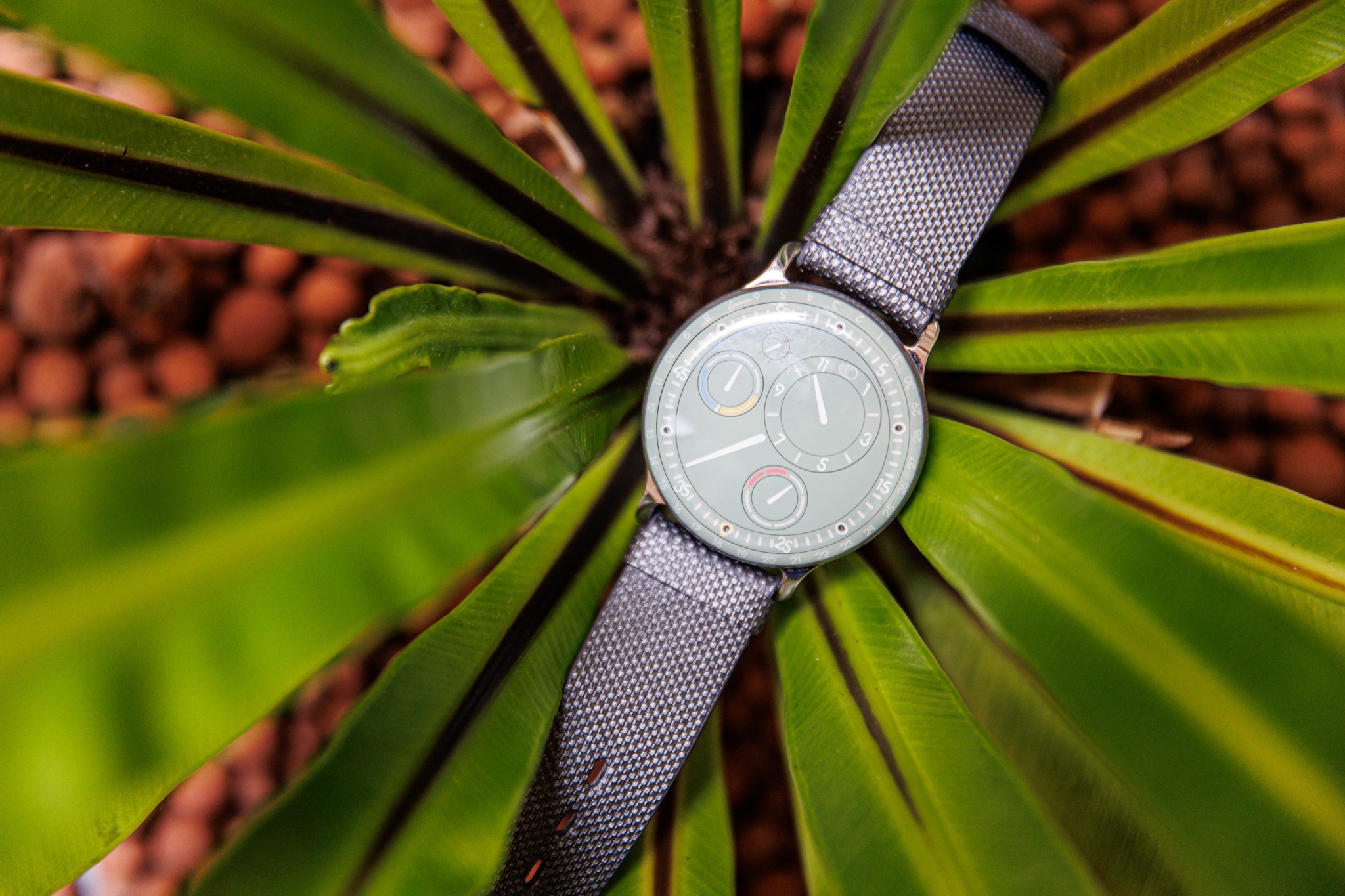 Tatler GMT x Ressence photo
